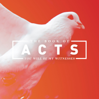 Acts